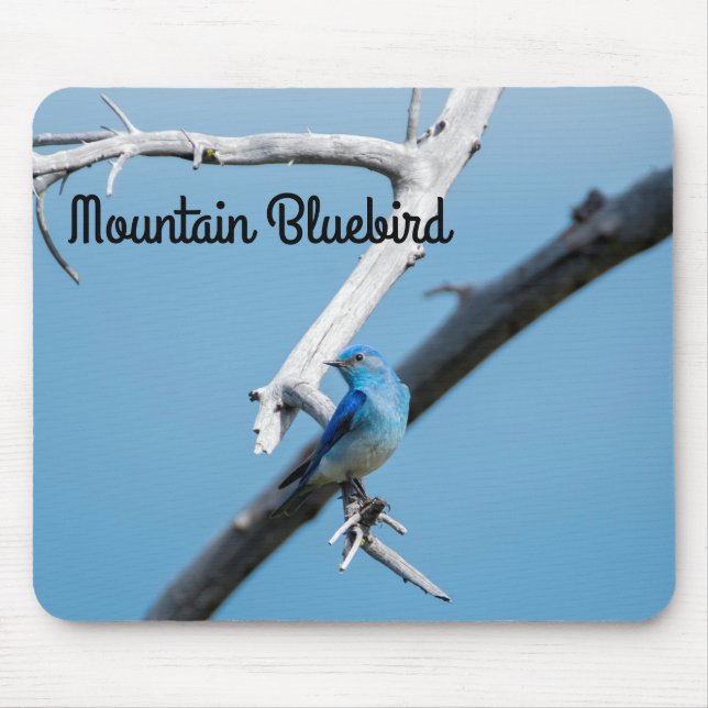 Mountain Bluebird Mouse Mat (Front)