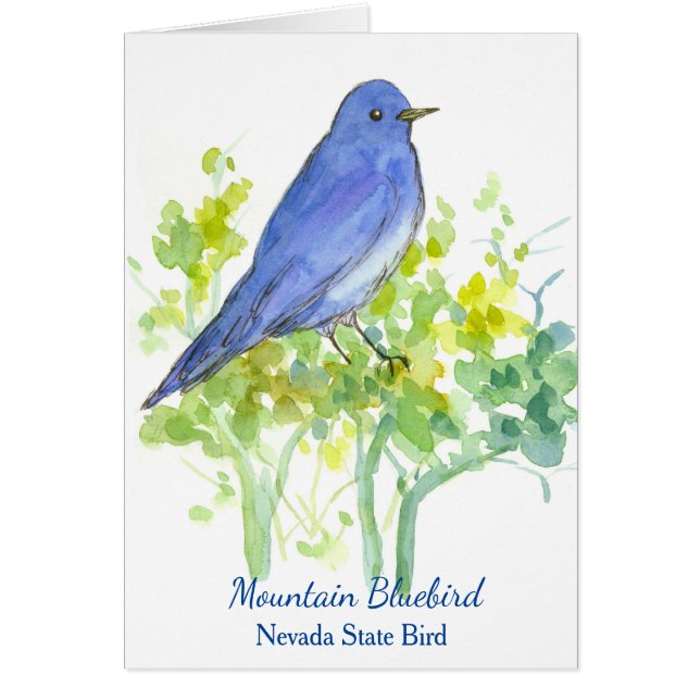 Mountain Bluebird Nevada State Bird Blank (Front)