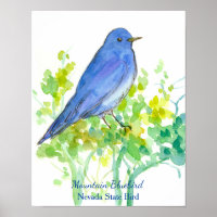 Mountain Bluebird Nevada State Bird Watercolor