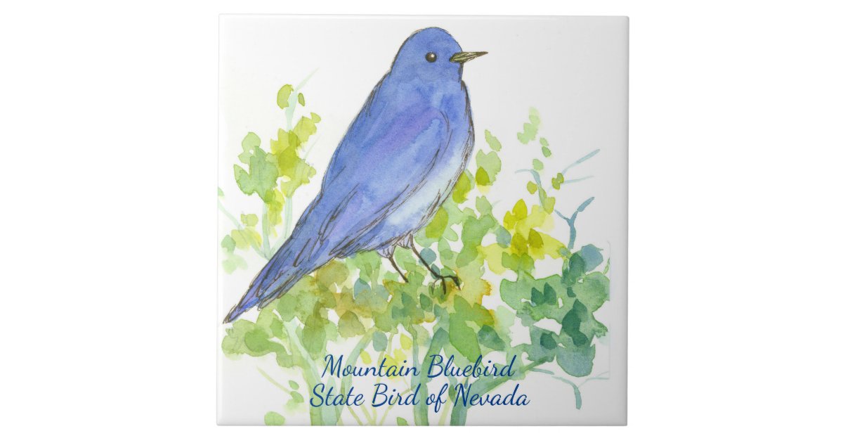 Mountain Bluebird Nevada State Bird Watercolor Tile | Zazzle