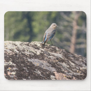Mountain Bluebird on Granite Mouse Mat