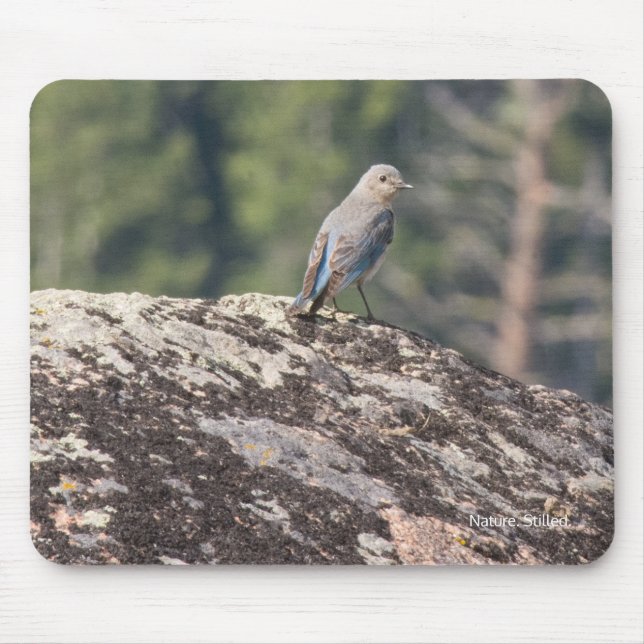 Mountain Bluebird on Granite Mouse Mat (Front)