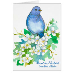 Mountain Bluebird State Bird of Idaho Blank