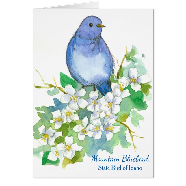 Mountain Bluebird State Bird of Idaho Blank (Front)