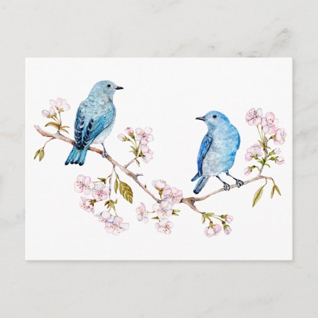 Mountain Bluebirds on Sakura Branch Postcard (Front)