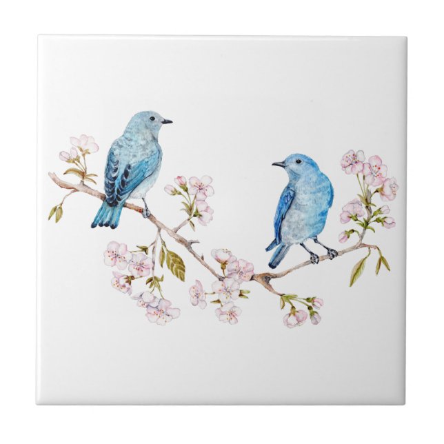Mountain Bluebirds on Sakura Branch Tile (Front)