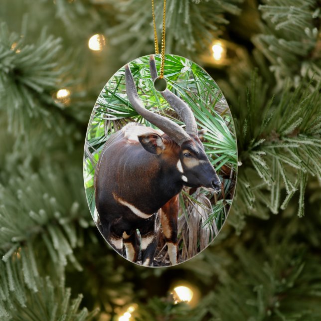 Mountain Bongo Antelope Ceramic Tree Decoration (Tree)