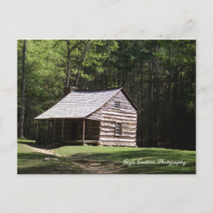 Mountain Cabin Postcard
