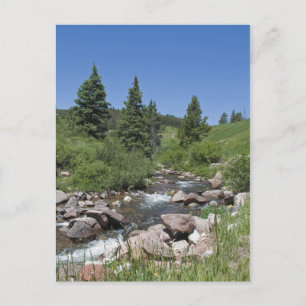 Mountain Colorado Stream Postcard