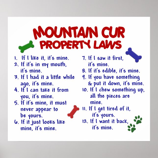 MOUNTAIN CUR PL2 POSTER (Front)