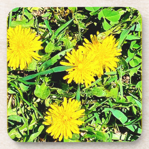 Mountain Dandelions Photo. Buy Now Coaster