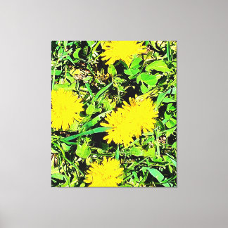 Mountain Dandelions Photo From Ottawa Canada Canvas Print