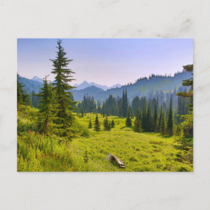 Mountain & Forest Landscape Washington State Postcard
