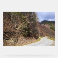 Mountain Forest Road - Wild Nature Romania