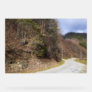Mountain Forest Road - Wild Nature Romania Acrylic Sign