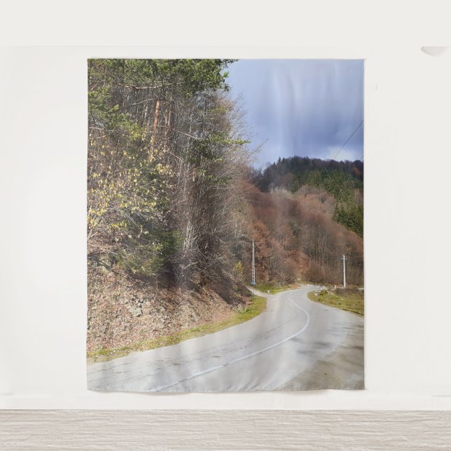 Mountain Forest Road - Wild Nature Romania Tapestry (Front)