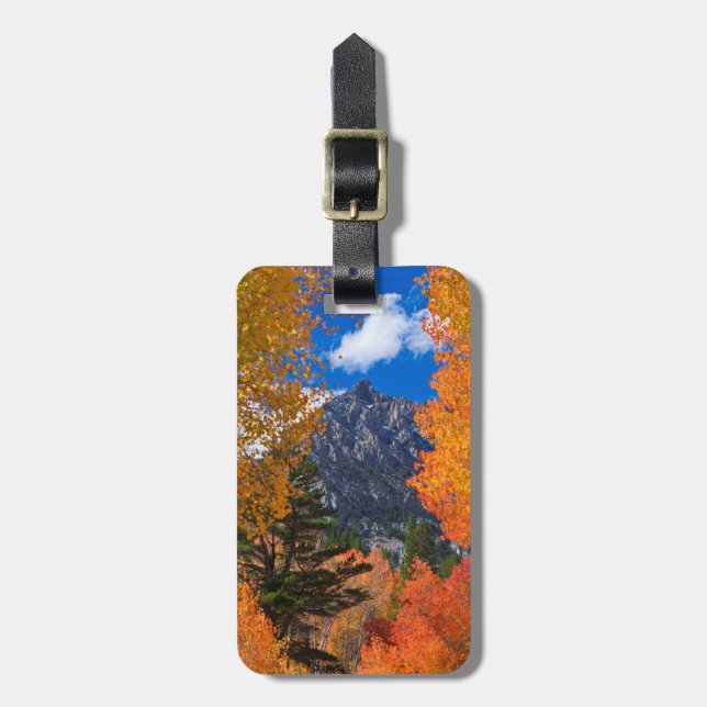 Mountain framed in fall foliage, CA Luggage Tag (Front Vertical)