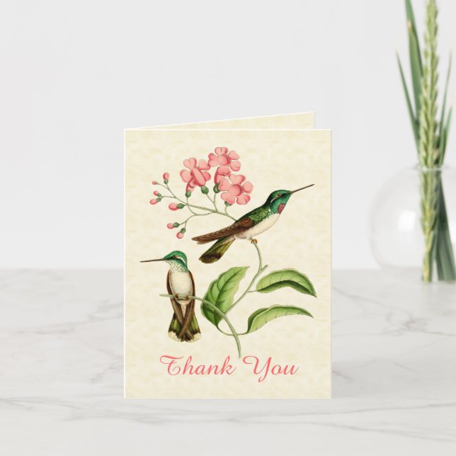 Mountain Gem Hummingbird Thank You (Front)