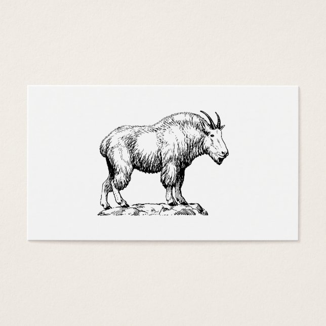 Mountain Goat (Front)