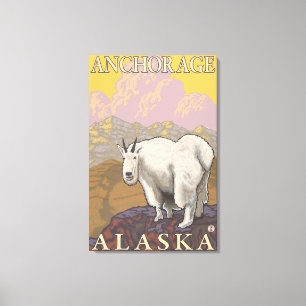 Mountain Goat - Anchorage, Alaska Canvas Print