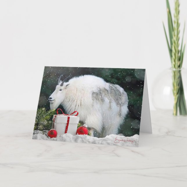 Mountain Goat at Christmastime  - 5x7 Blank Card (Front)