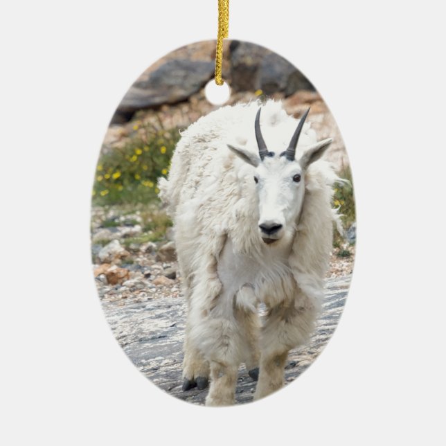 Mountain Goat Ceramic Tree Decoration (Front)