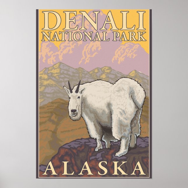 Mountain Goat - Denali National Park, Alaska Poster (Front)
