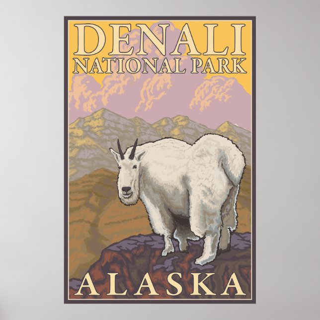 Mountain Goat - Denali National Park, Alaska Poster (Front)