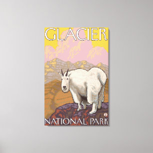 Mountain Goat - Glacier National Park, MT Canvas Print