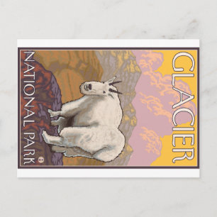 Mountain Goat - Glacier National Park, MT Postcard