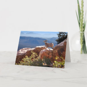 Mountain Goat Greeting Card