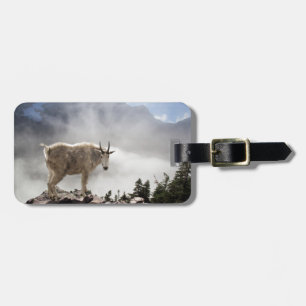 Mountain Goat in Glacier National Park Luggage Tag