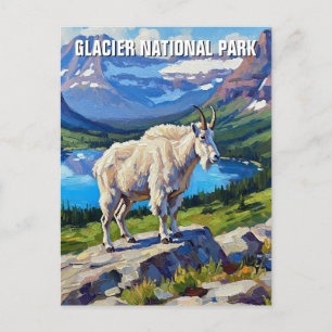Mountain Goat in Glacier National Park Travel Postcard