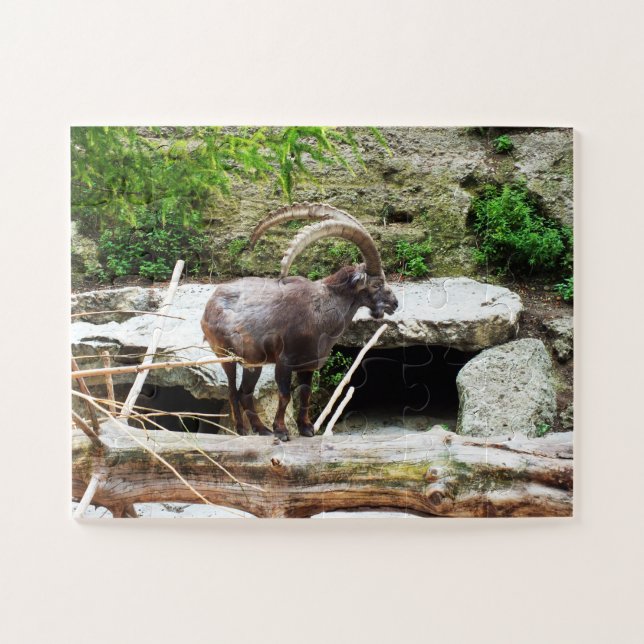 Mountain goat jigsaw puzzle (Horizontal)