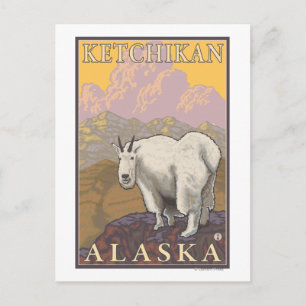 Mountain Goat - Ketchikan, Alaska Postcard
