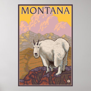 Mountain Goat - Montana Poster