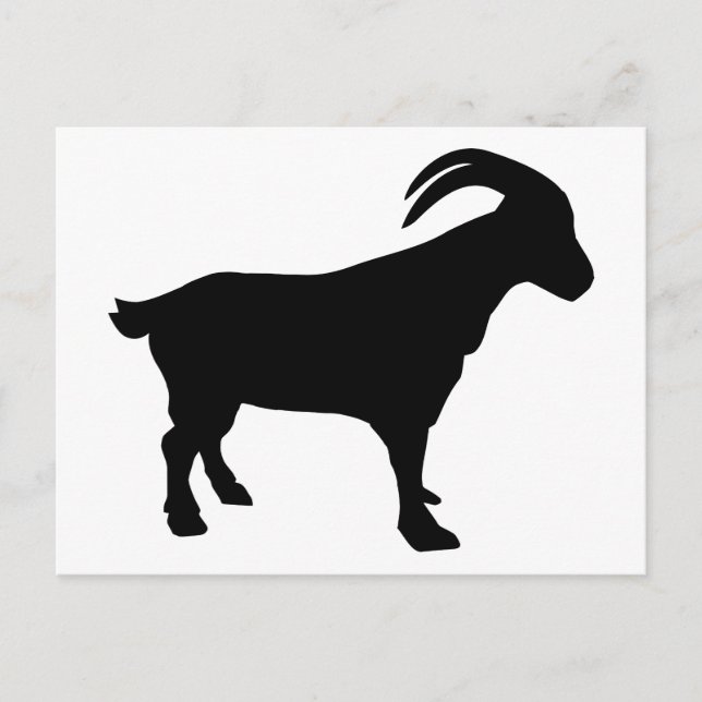 Mountain goat postcard (Front)
