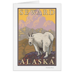 Mountain Goat - Seward, Alaska