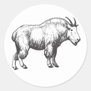 Mountain Goat Stickers