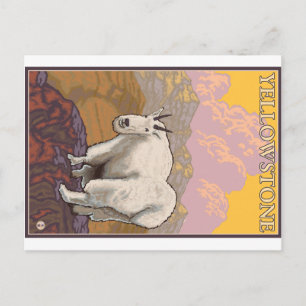 Mountain Goat - Yellowstone National Park Postcard