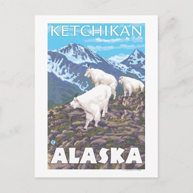 Mountain Goats Scene - Ketchikan, Alaska Postcard (Front)