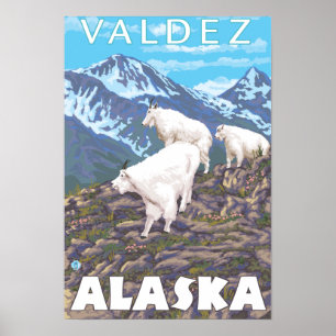 Mountain Goats Scene - Valdez, Alaska Poster