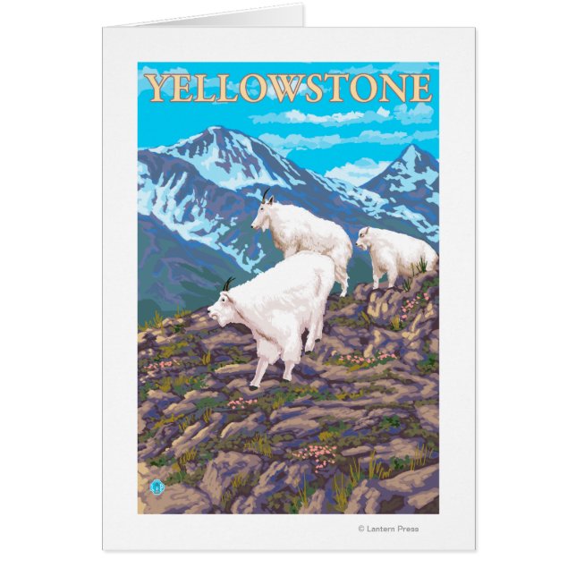 Mountain Goats Scene - Yellowstone National Park (Front)
