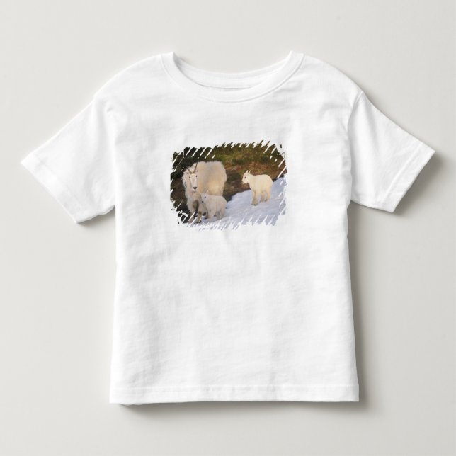 mountain goats toddler T-Shirt (Front)