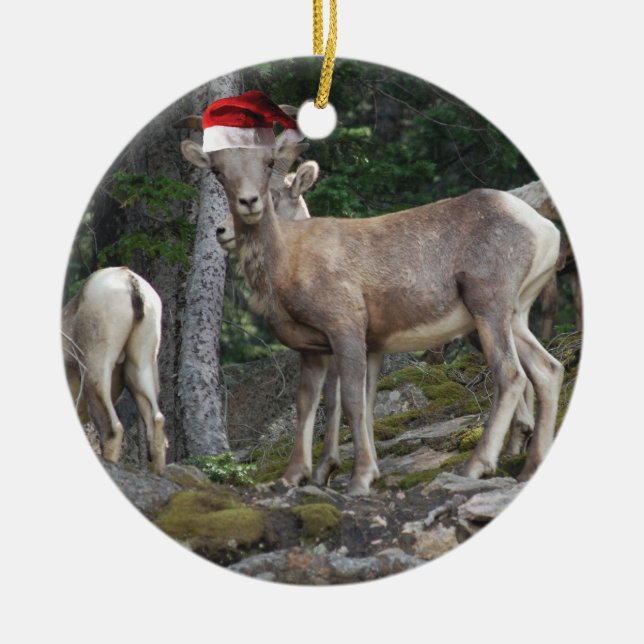 Mountain Goats wearing Santa Claus Hats Ceramic Tree Decoration (Front)