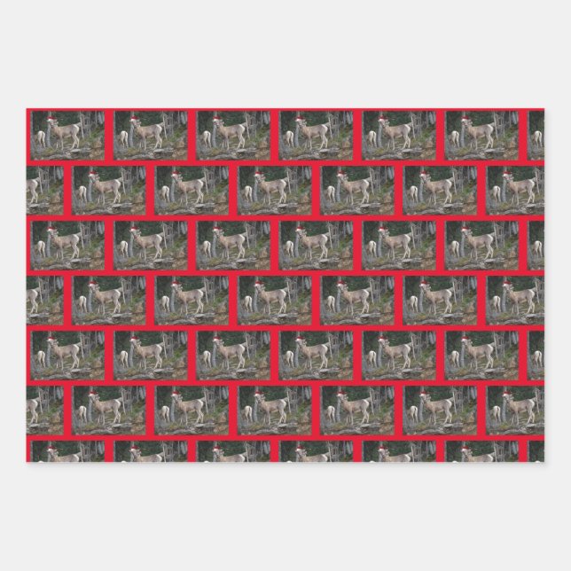 Mountain Goats wearing Santa Claus Hats for Christ Wrapping Paper Sheet (Front)