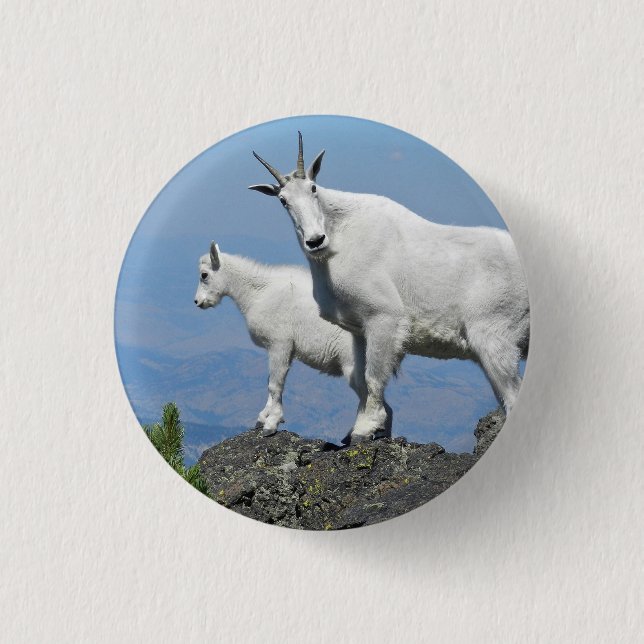 Mountain Goats White Wildlife Photo 3 Cm Round Badge (Front)