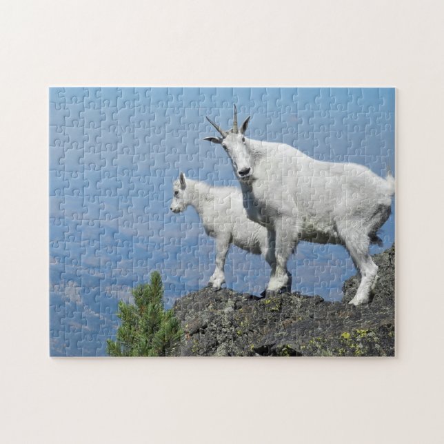 Mountain Goats White Wildlife Photo Jigsaw Puzzle (Horizontal)