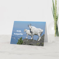 Mountain Goats White Wildlife Photo Sympathy