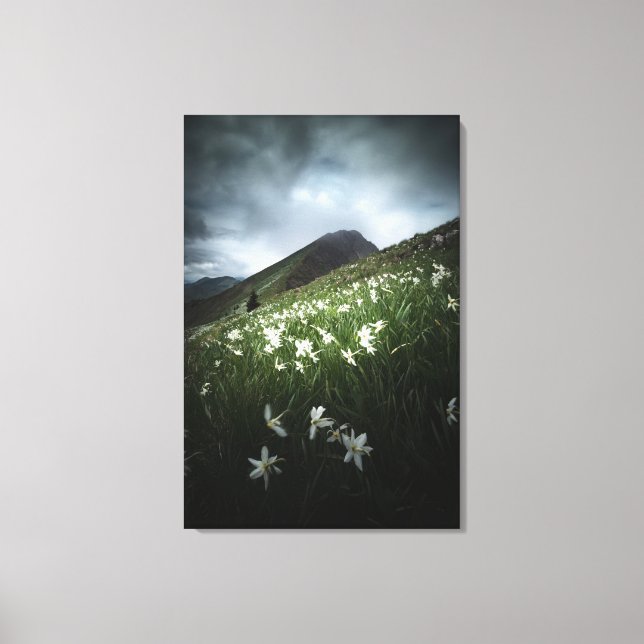 Mountain Golica and Narcissus flowers Canvas Print (Front)